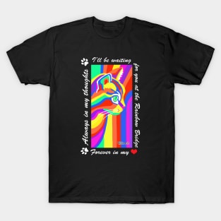 PicatsoCats Rainbow-Cat Dark T-Shirt